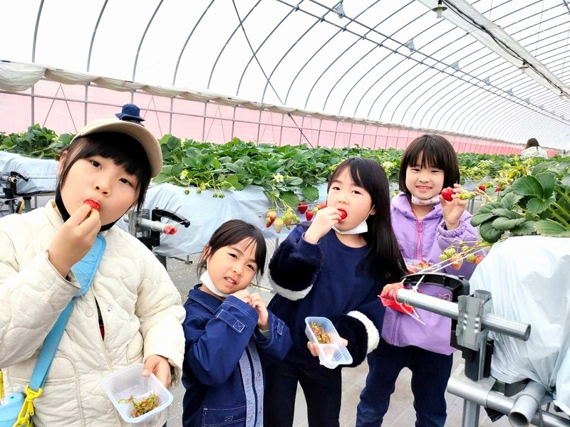 【終了】2024早春　B-4　家族DEバス旅 イチゴ狩り＆うどん作り