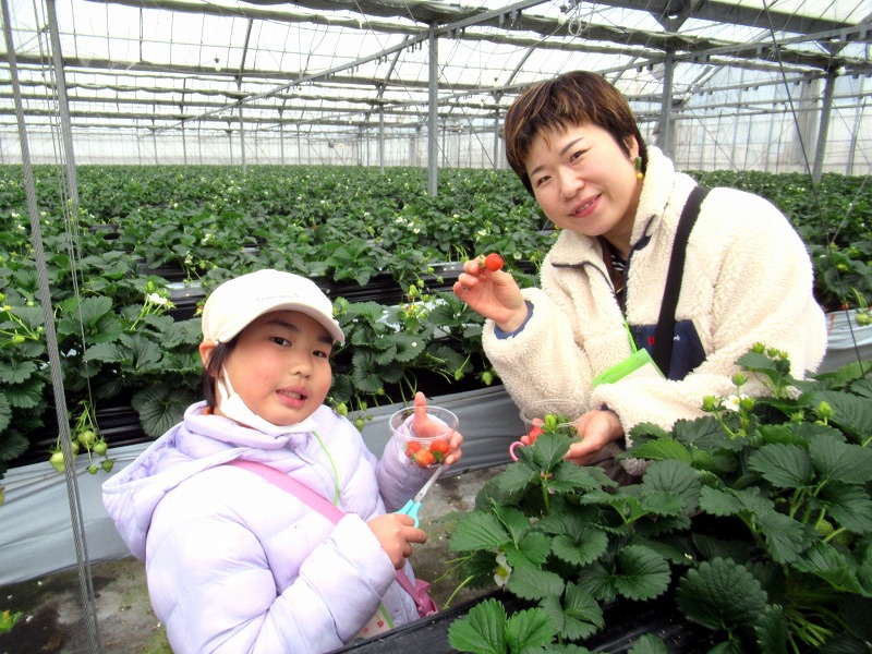 【終了】2025早春　B-3　家族DEバス旅 イチゴ狩り