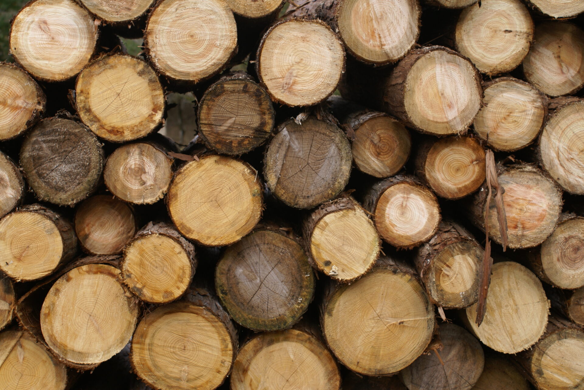 キャンプ用品の販売